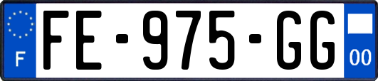 FE-975-GG