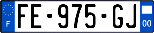 FE-975-GJ