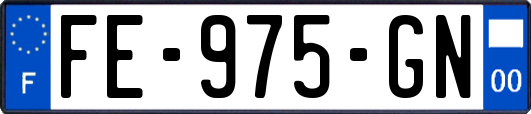 FE-975-GN