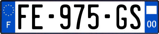 FE-975-GS