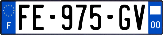 FE-975-GV