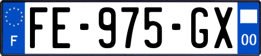 FE-975-GX