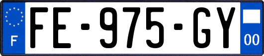 FE-975-GY