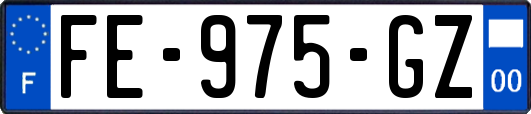 FE-975-GZ
