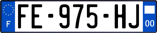 FE-975-HJ