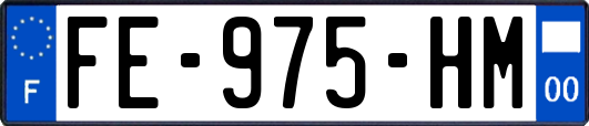 FE-975-HM