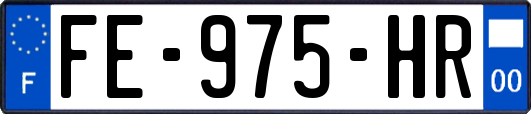 FE-975-HR