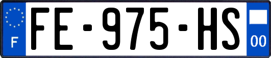 FE-975-HS