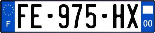 FE-975-HX