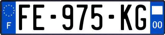 FE-975-KG