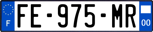 FE-975-MR