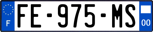 FE-975-MS
