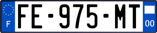 FE-975-MT