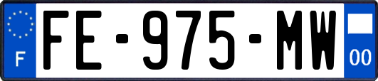 FE-975-MW
