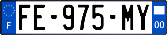 FE-975-MY