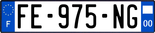 FE-975-NG