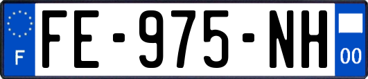 FE-975-NH