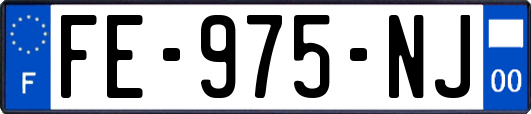 FE-975-NJ