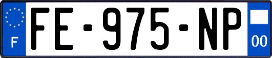 FE-975-NP
