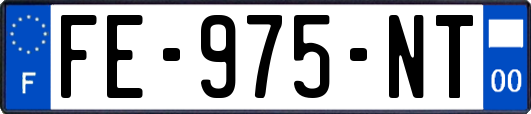 FE-975-NT