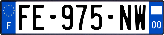 FE-975-NW