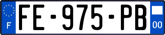 FE-975-PB