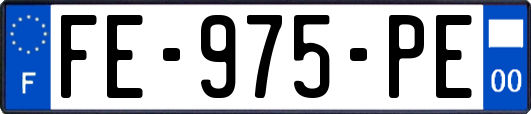 FE-975-PE