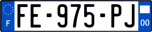 FE-975-PJ