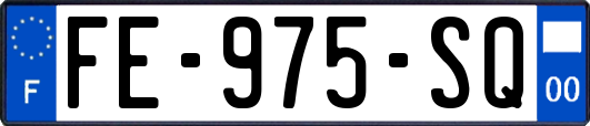 FE-975-SQ