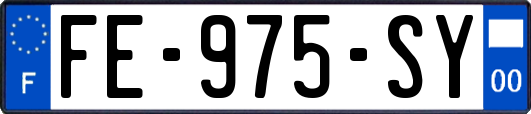 FE-975-SY