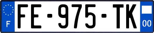 FE-975-TK