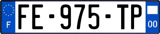 FE-975-TP