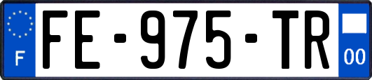 FE-975-TR