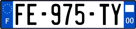 FE-975-TY