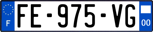 FE-975-VG