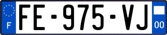 FE-975-VJ