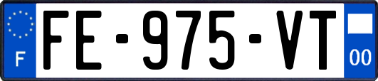 FE-975-VT