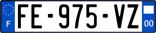 FE-975-VZ
