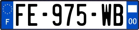 FE-975-WB