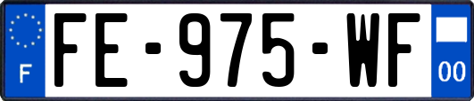 FE-975-WF