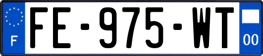 FE-975-WT