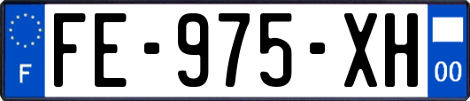 FE-975-XH