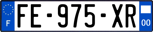 FE-975-XR