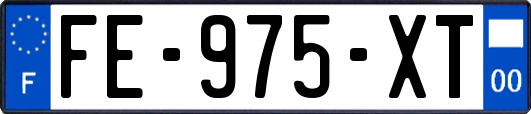 FE-975-XT