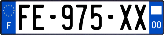 FE-975-XX