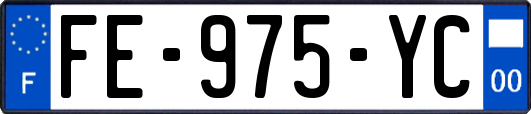 FE-975-YC