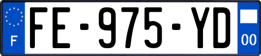 FE-975-YD