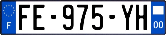 FE-975-YH