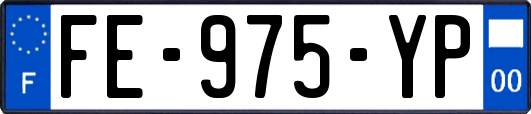 FE-975-YP