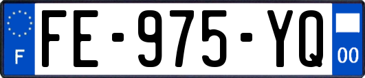 FE-975-YQ